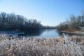 Lake, winter forest and dry grass in the frost Royalty Free Stock Photo