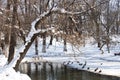 Lake in winter - RAW format Royalty Free Stock Photo