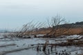 Lake in winter Royalty Free Stock Photo