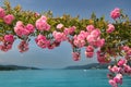 Lake Woerthersee during summertime