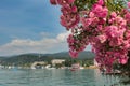 Lake Woerthersee during summertime Royalty Free Stock Photo