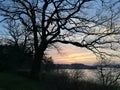 Lake and wood being bathed with sunlit