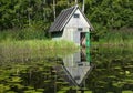 At the lake in the woods Royalty Free Stock Photo