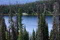 The lake in Wyoming surrounded by dead pines.