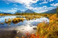 Lake among the yellow grass Royalty Free Stock Photo