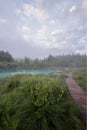 Lake Zajeci in Slovenia