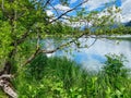 Lake Zell Salzburger Land