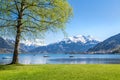 Lake Zell in summer, Salzburg, Austria