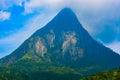 Misty With Mountain