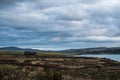 Lakehouse located on a bank of a lake in Iceland.