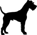 Lakeland Terrier Black Silhouette Generative Ai