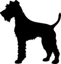Lakeland Terrier Black Silhouette Generative Ai