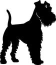 Lakeland Terrier Black Silhouette Generative Ai