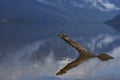 Lakes of the Carretera Austral Royalty Free Stock Photo