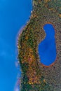 Lakes in forest top view Royalty Free Stock Photo