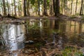 Lakes are freed from ice and flooded areas in early spring in the parks of St. Petersburg