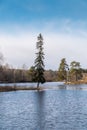 Lakes are freed from ice and flooded areas in early spring in the parks of St. Petersburg