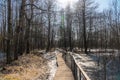 Lakes are freed from ice and flooded areas in early spring in the parks of St. Petersburg