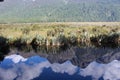 The beautiful Mirror Lakes, South Island, New Zealand Royalty Free Stock Photo