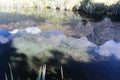 Reflection of the Earl Mountains in Mirror Lakes, South Island, New Zealand Royalty Free Stock Photo