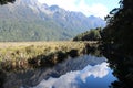 Reflection at the well-known Mirror Lake, South Island, New Zealand Royalty Free Stock Photo