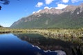 View of Mirror Lakes, New Zealand Royalty Free Stock Photo