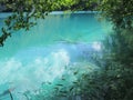 Lakes of the National park Plitvicka Jezera Royalty Free Stock Photo