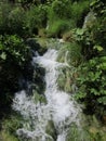 Lakes of the National park Plitvicka Jezera Royalty Free Stock Photo