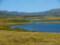 Lakes of plateau Ukok, mountain Altai