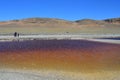 Lakes of Tibet. Lake of Sam Co in summer in clear weather