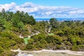 Lakes in the Wai-o-tapu geothermal area, near Rotorua, New Zealand Royalty Free Stock Photo