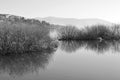 Lakescape in bw