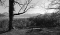 Lakeshore with bench,  autumn leaves and tree and mountains in the background im black and white Royalty Free Stock Photo