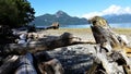 Lakeshore with driftwood on the Olympic Peninsula Royalty Free Stock Photo