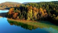 A lakeshore in a forest