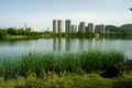 The lakeside of Changsha West Lake Park