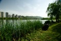 The lakeside of Changsha West Lake Park