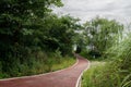 Lakeside curving red-painted path on slope in cloudy summer morning