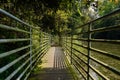 Lakeside fenced planked path in sunny spring afternoon