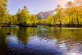 Lakeside Forest