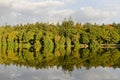 Lakeside Forest