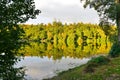 Lakeside Forest