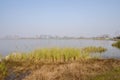 Lakeside grass and weeds with city in distance on sunny winter d