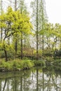 The lakeside green trees and peach blossom