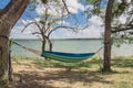 Lakeside hammock hanging between trees sunny day