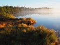 Lakeside in Kakerdaja bog Royalty Free Stock Photo
