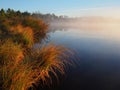 Lakeside in Kakerdaja bog Royalty Free Stock Photo
