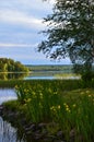 Lakeside landscape in Puolanka. Finnish nightless night Royalty Free Stock Photo