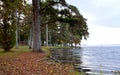 Lakeside at a Park