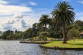 Lakeside park with tall palm trees. Hamilton, New Zealand